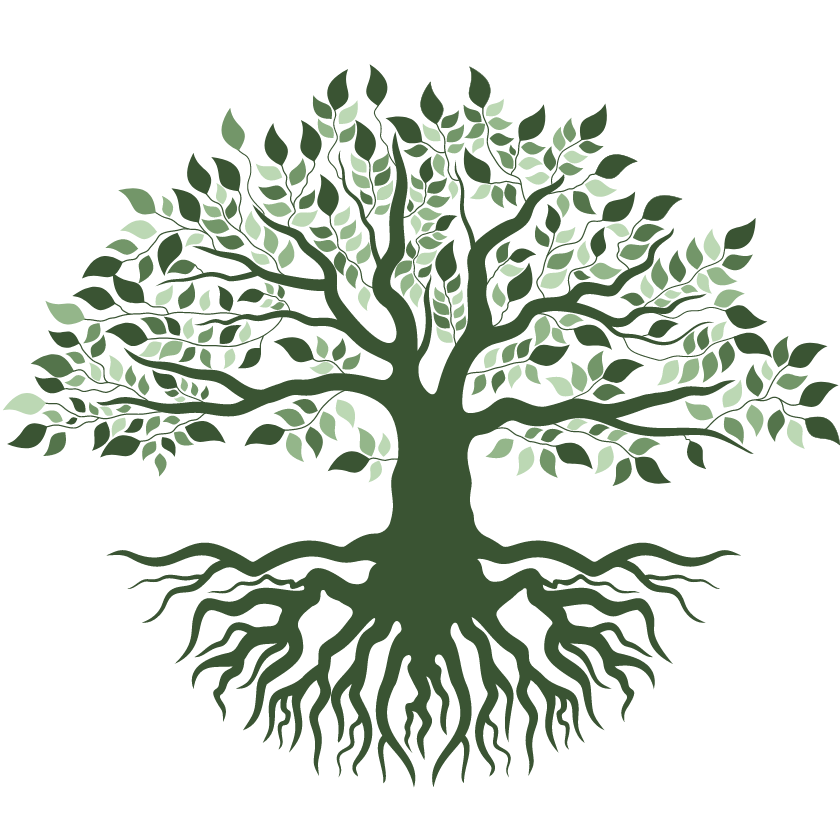 Roots Family Chiropractic